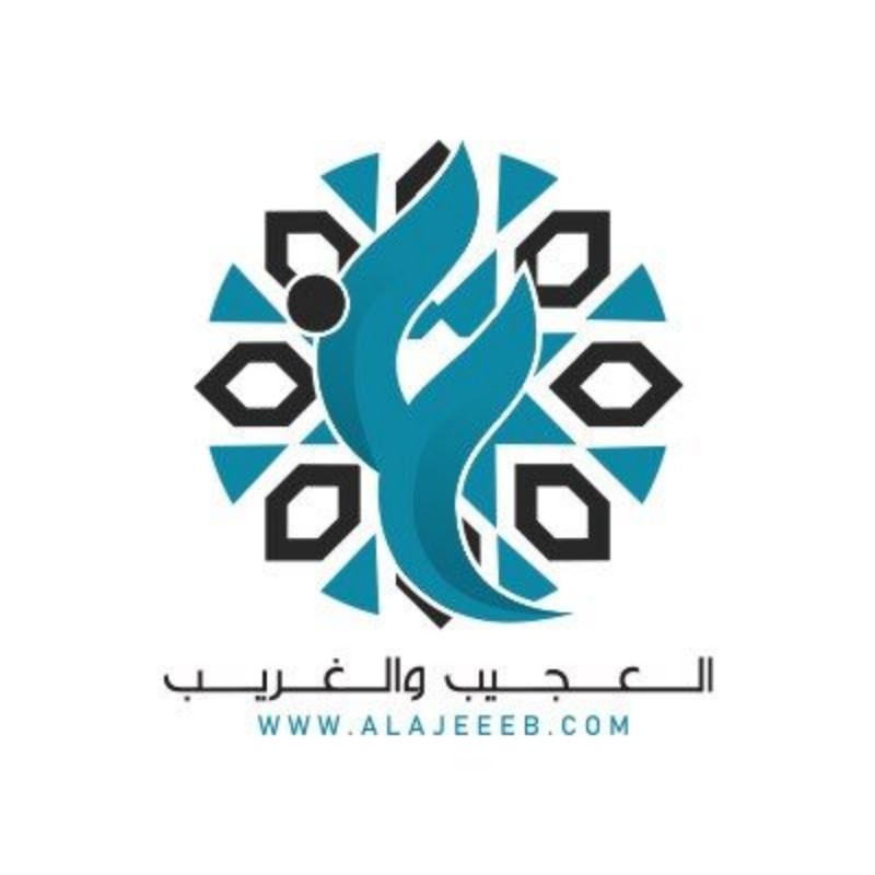 مؤسسة العجيب والغريب التجارية (@ajeeeb2016) | Snapchat Stories ...