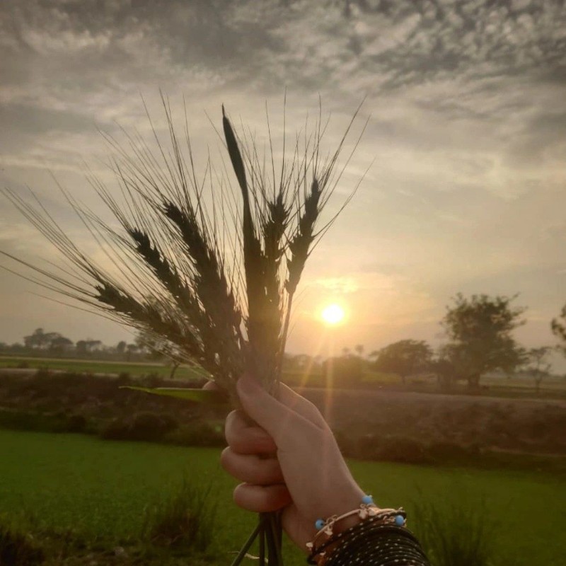 MuNiba 🎧 ️ (@ayoitmuniba) | Snapchat Stories, Spotlight & Lenses