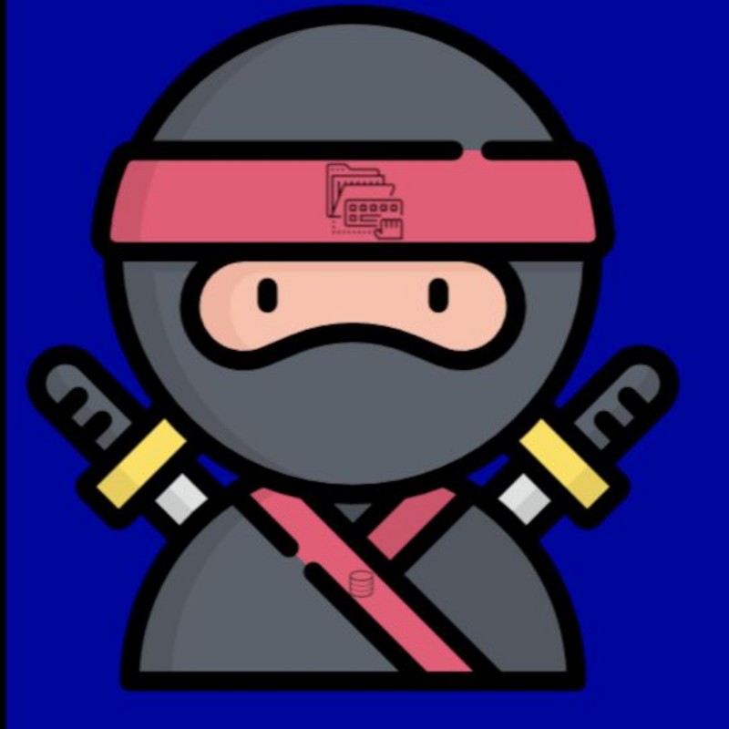 Entry Ninja (@entryninja) | Snapchat Stories, Spotlight & Lenses
