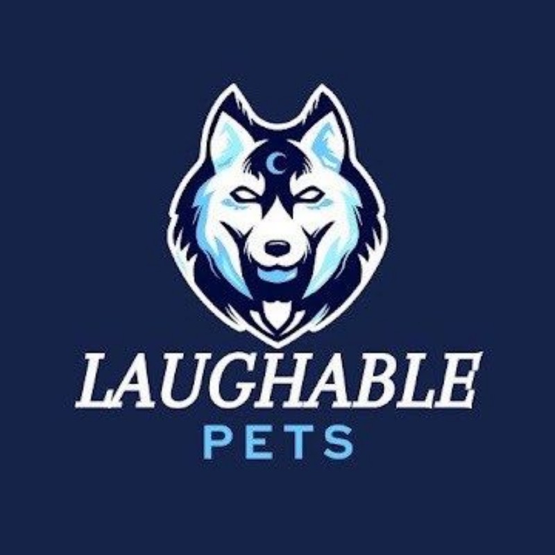 Laughable Pets (@laughablepets) | Snapchat Stories, Spotlight & Lenses
