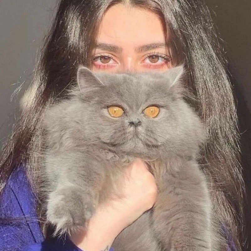 Api Shadia شاديا (@shadia2255) | Snapchat Stories, Spotlight & Lenses