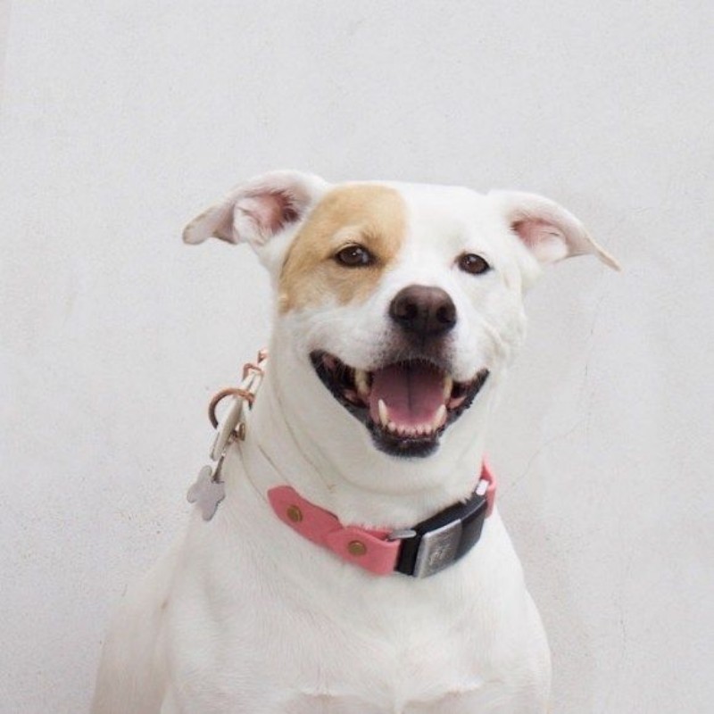 Sydney Sweeney Snapchat preview