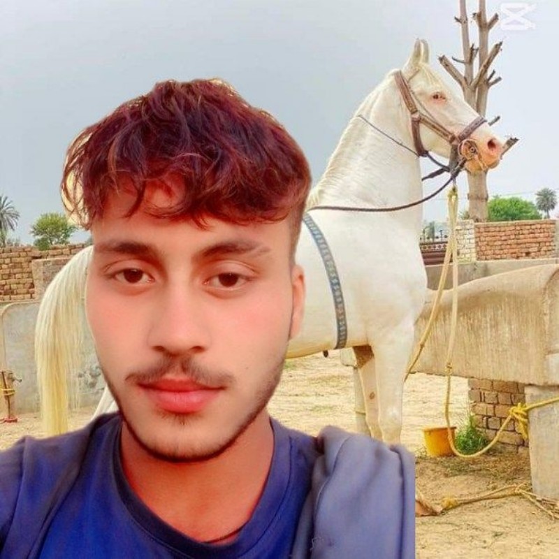 Tayyab Ali (@tayyaba20247607) | Snapchat Stories, Spotlight & Lenses