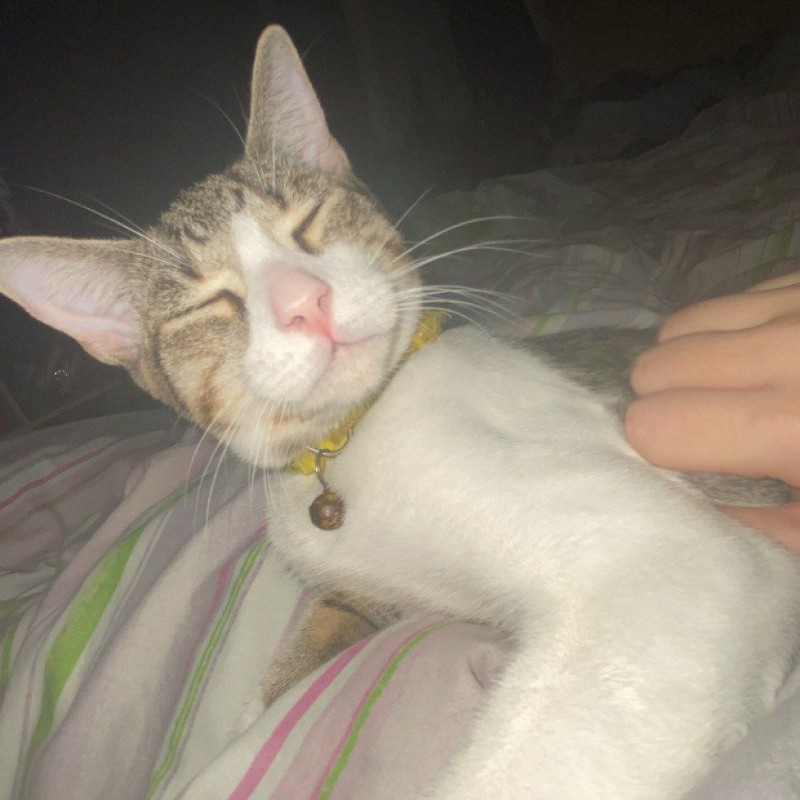 Chloe🌙🌸 ( a_chloesmith) Snapchat Stories, Spotlight & Lenses