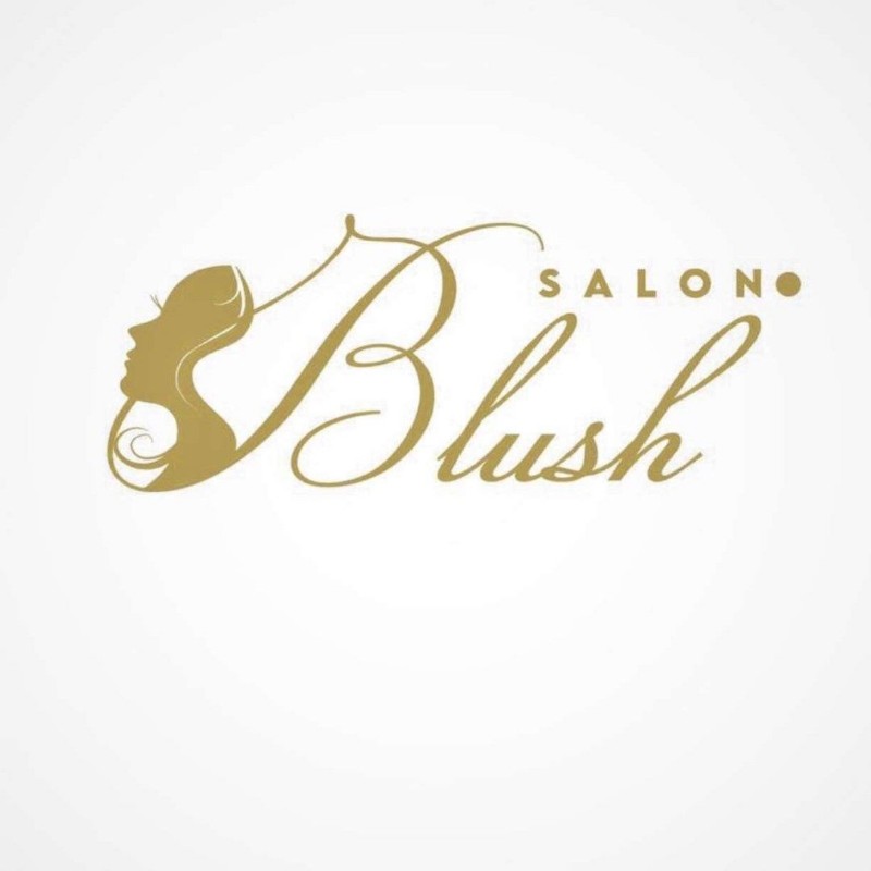 Blush Salon (alanoodartist) Snapchat Stories, Spotlight & Lenses