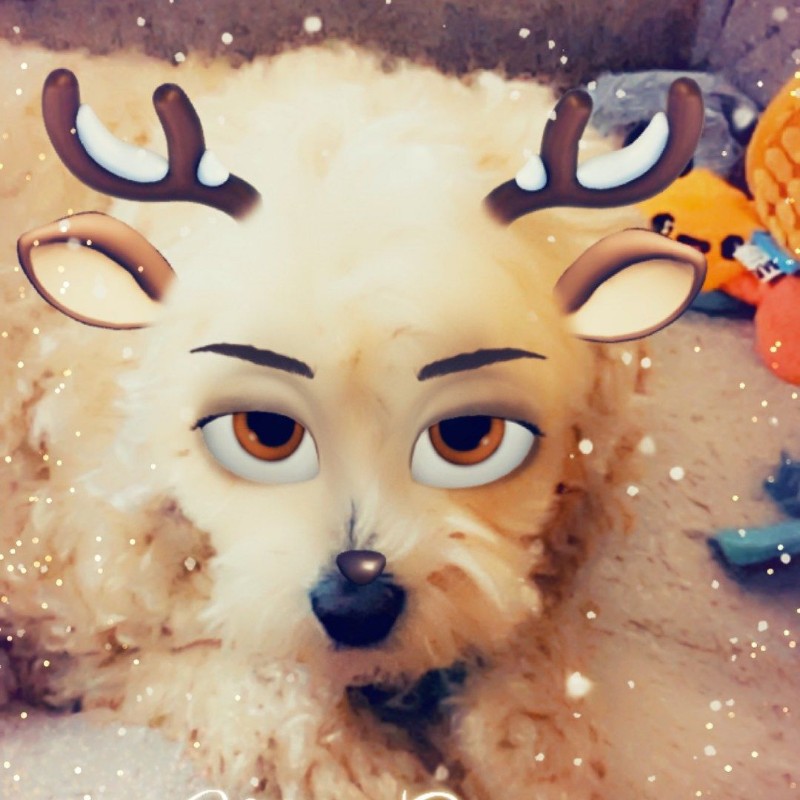 Alex Sund (@alexsund69) | Snapchat Stories, Spotlight & Lenses