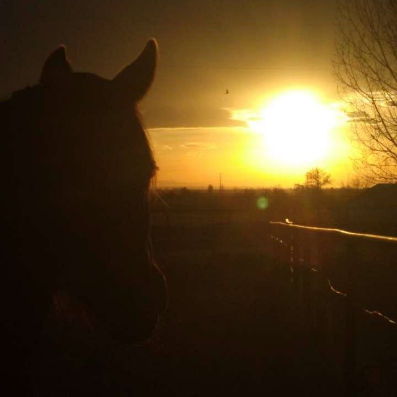🛢🐎🇺🇸Hazel_barrels🇺🇸🐎🛢 (@barrelracehazel) | Snapchat Stories, Spotlight ...