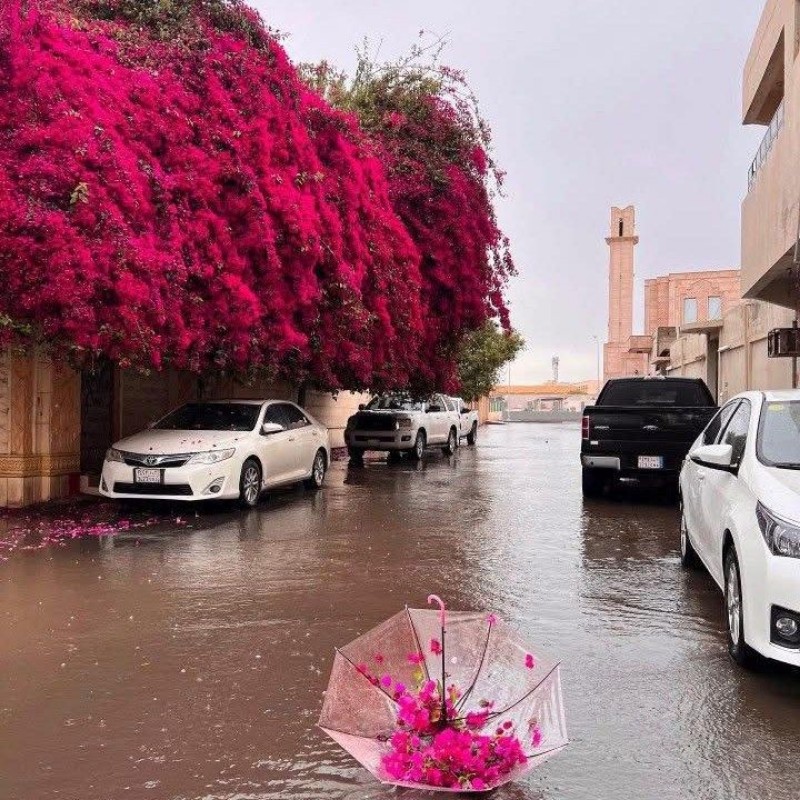 Batool 🌸🌸 (@batoolamro91) | Snapchat Stories, Spotlight & Lenses