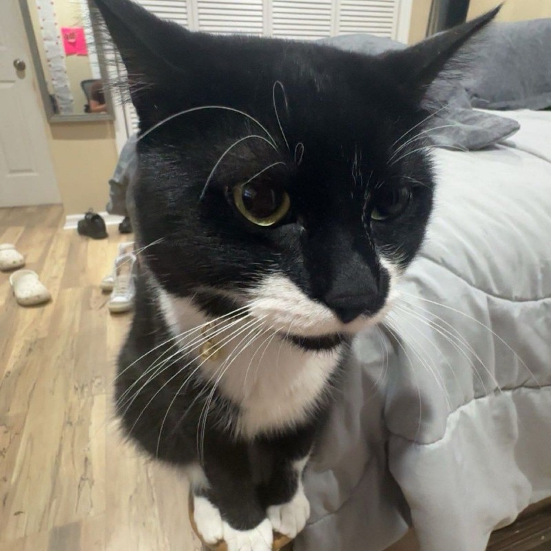 Dallas 📸 (dallas_xjackson) Snapchat Stories, Spotlight & Lenses