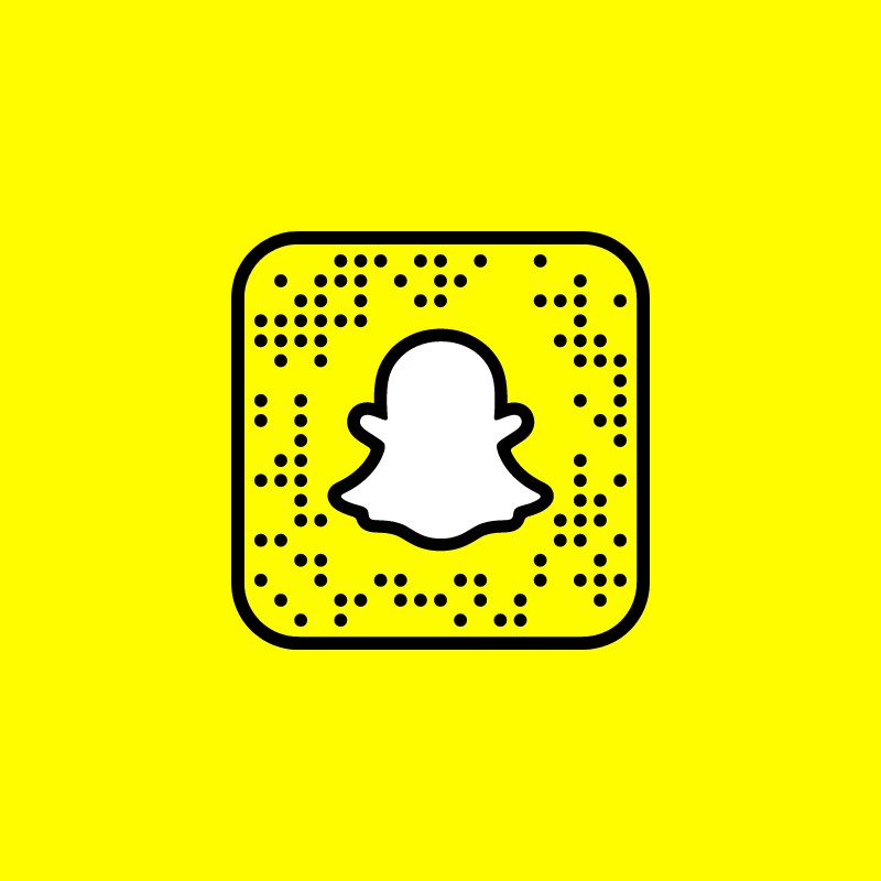 D M Fencing Dm Fencing Snapchat Spotlight