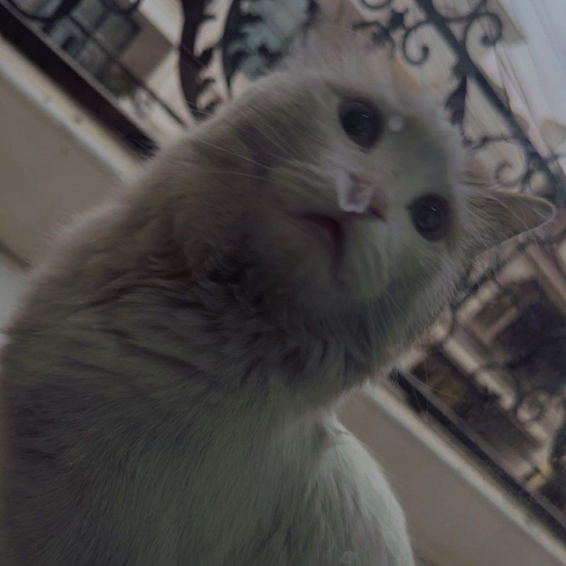 ECE zhalla ️ (@ece_zhalla) | Snapchat Stories, Spotlight & Lenses