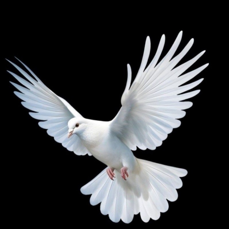 💘𝐜𝐚𝐧𝐝𝐲 𝐛𝐚𝐛𝐲💘 (endangerdreamer) Snapchat Stories, Spotlight & Lenses