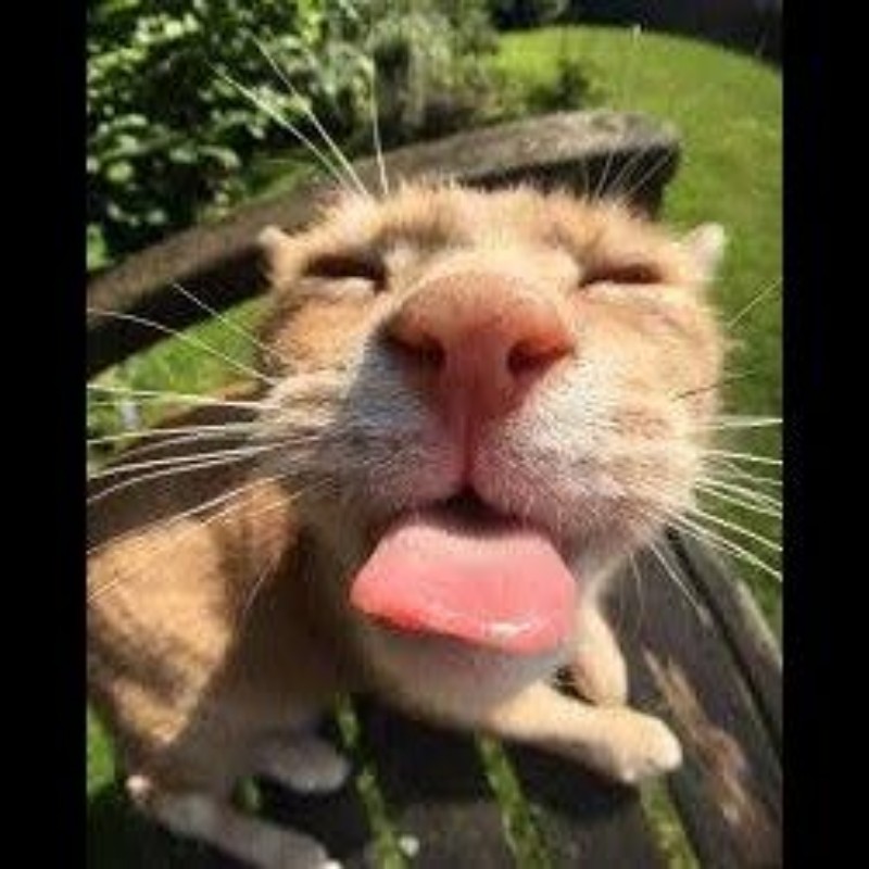 FlayedTexts (@flayedtexts) | Snapchat Stories, Spotlight & Lenses