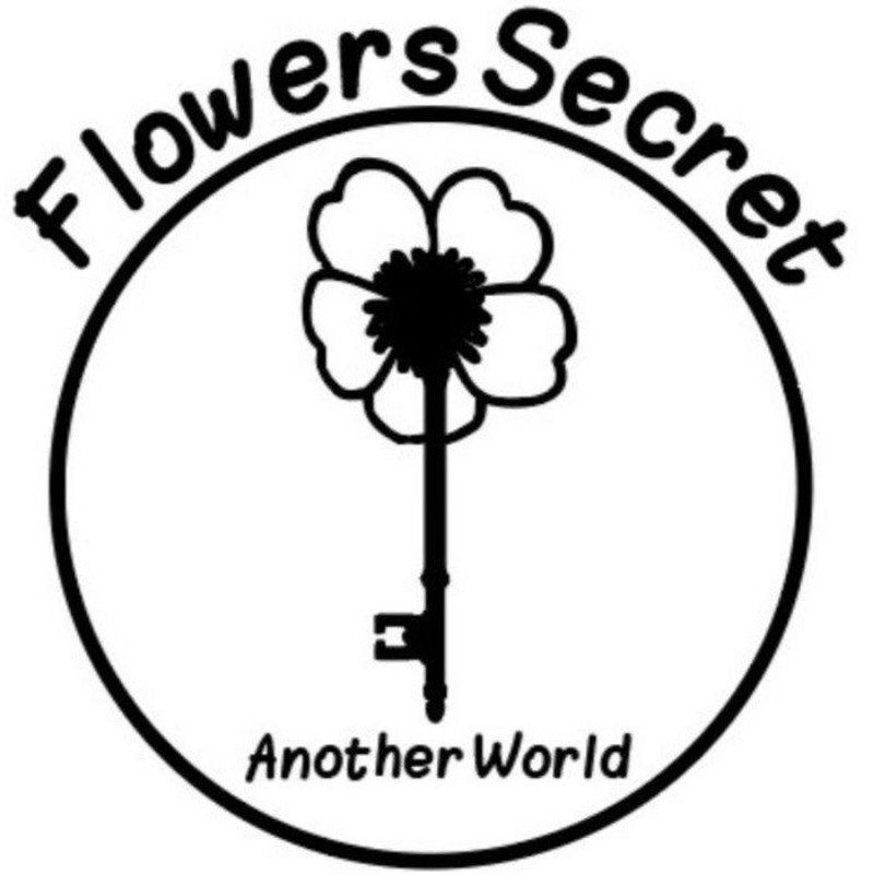 flowers secret (flower_ssecret) Snapchat Stories, Spotlight & Lenses
