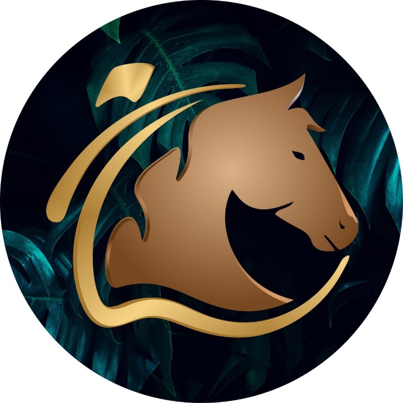 مجوهرات أباالـ🐎ـيل (goldka) Snapchat Stories, Spotlight & Lenses