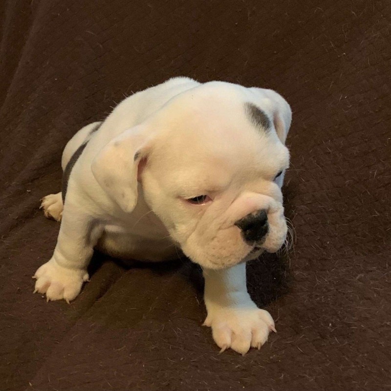 Tay (grind.nonstop4) Snapchat Stories, Spotlight & Lenses