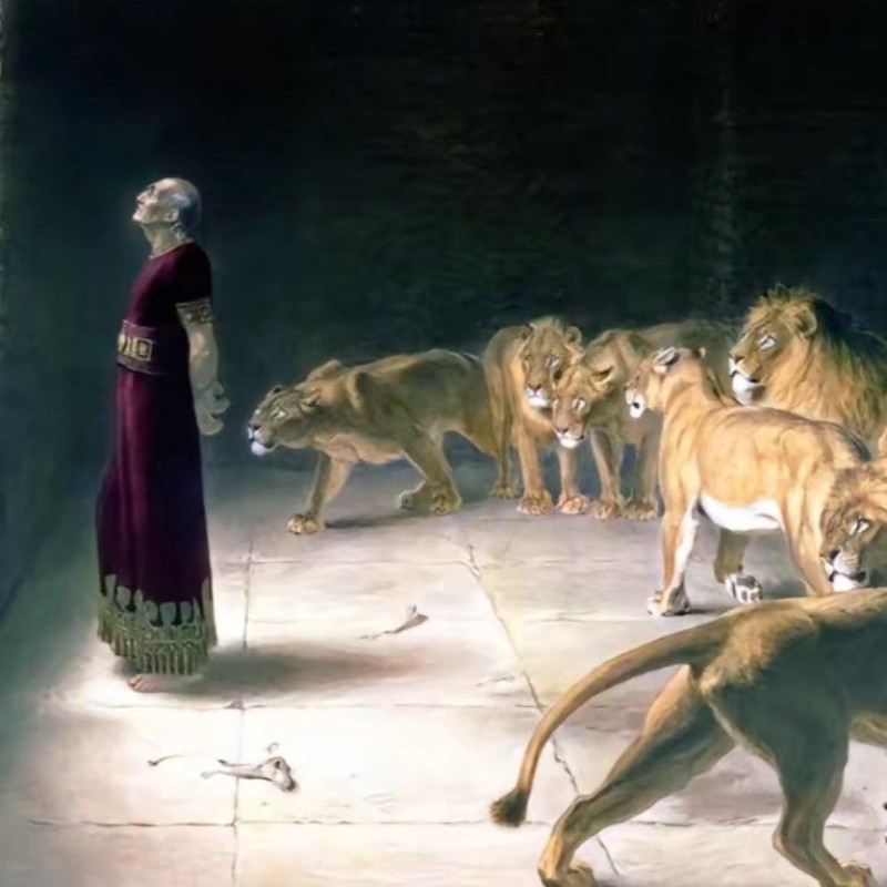 كارلوس (halal_bomber) Snapchat Stories, Spotlight & Lenses