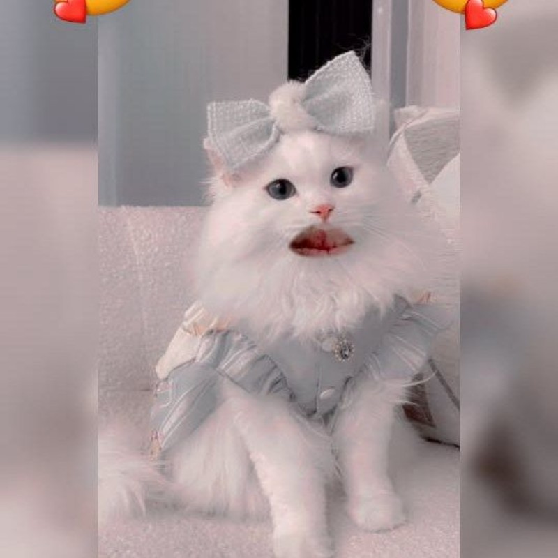 HUDA Jani 🥰 (@hudajani254424) | Snapchat Stories, Spotlight & Lenses