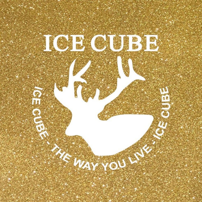 ICE CUBE آيس كيوب (icecube.fashion) Snapchat Stories, Spotlight