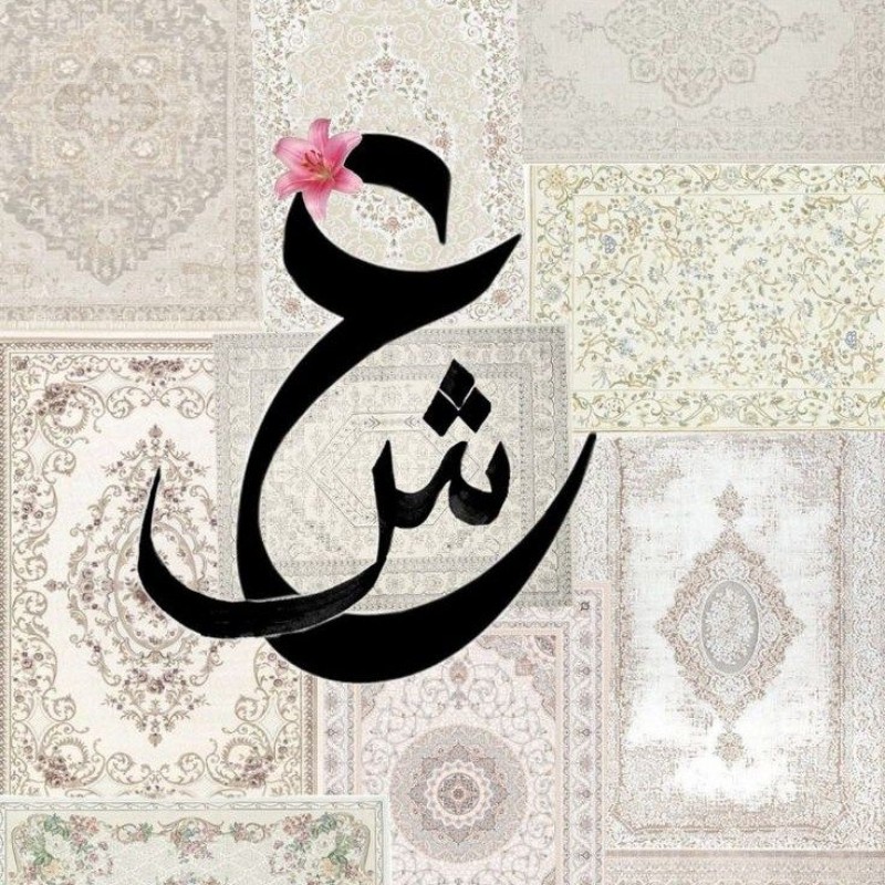 Shiفa , Imرa 🌎💐 (@imra_shaikh79) | Snapchat Stories, Spotlight & Lenses