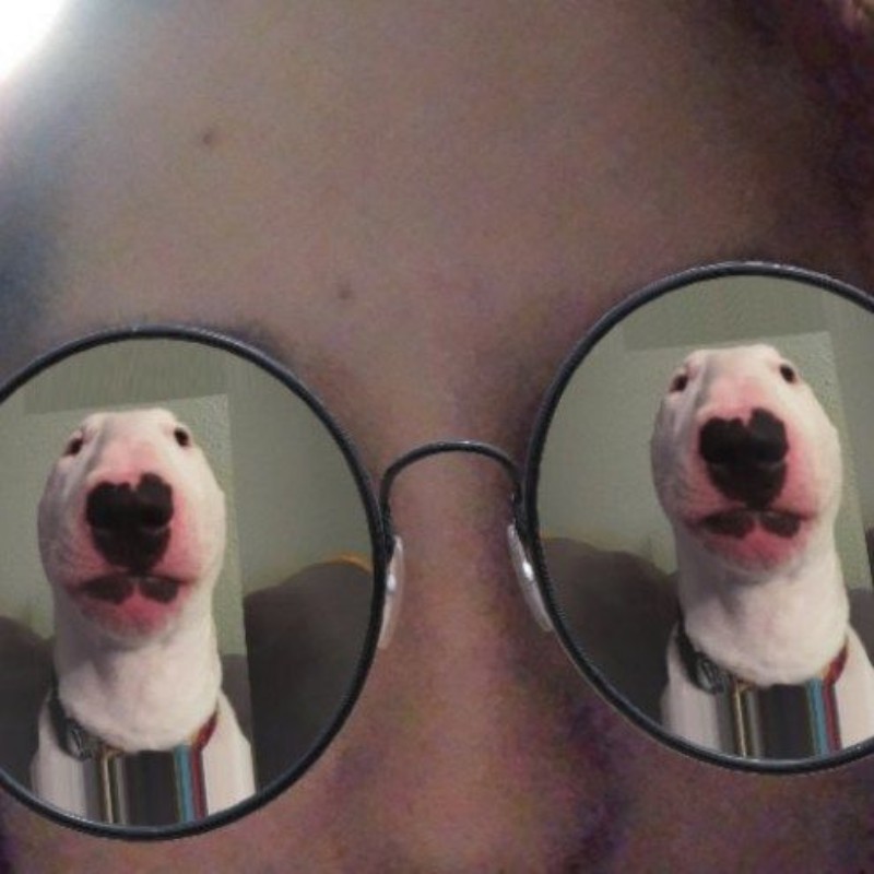 👹 (@kaitlynn_hehhh) | Snapchat Stories, Spotlight & Lenses