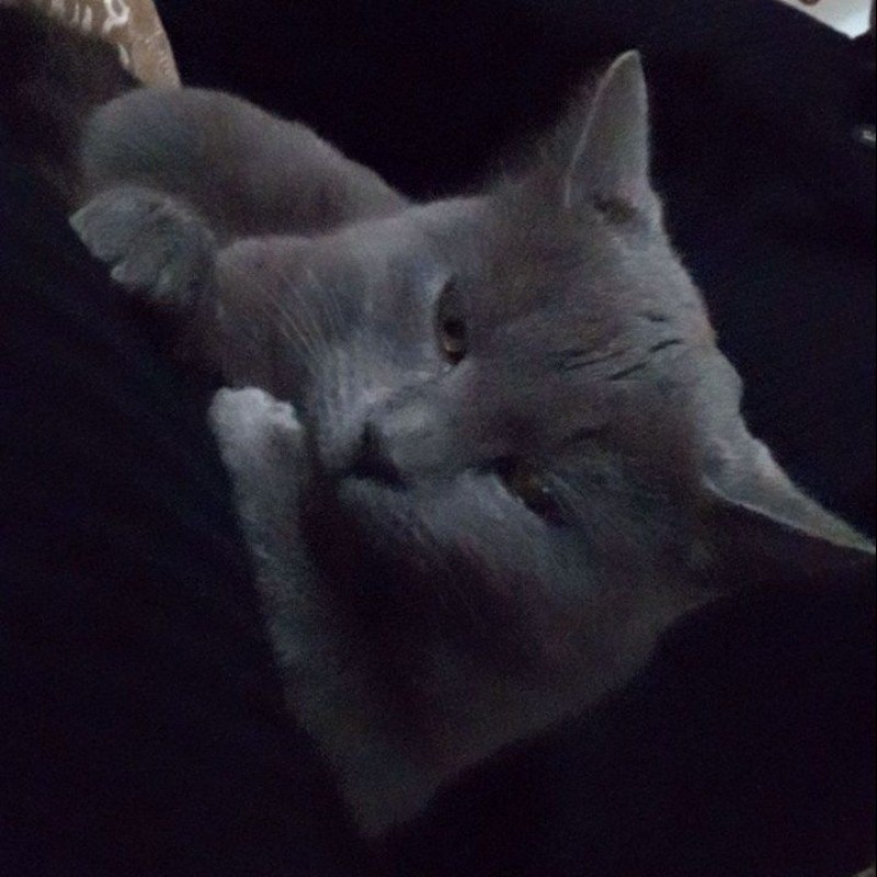 Халифа (@khalifa245070) | Snapchat Stories, Spotlight & Lenses