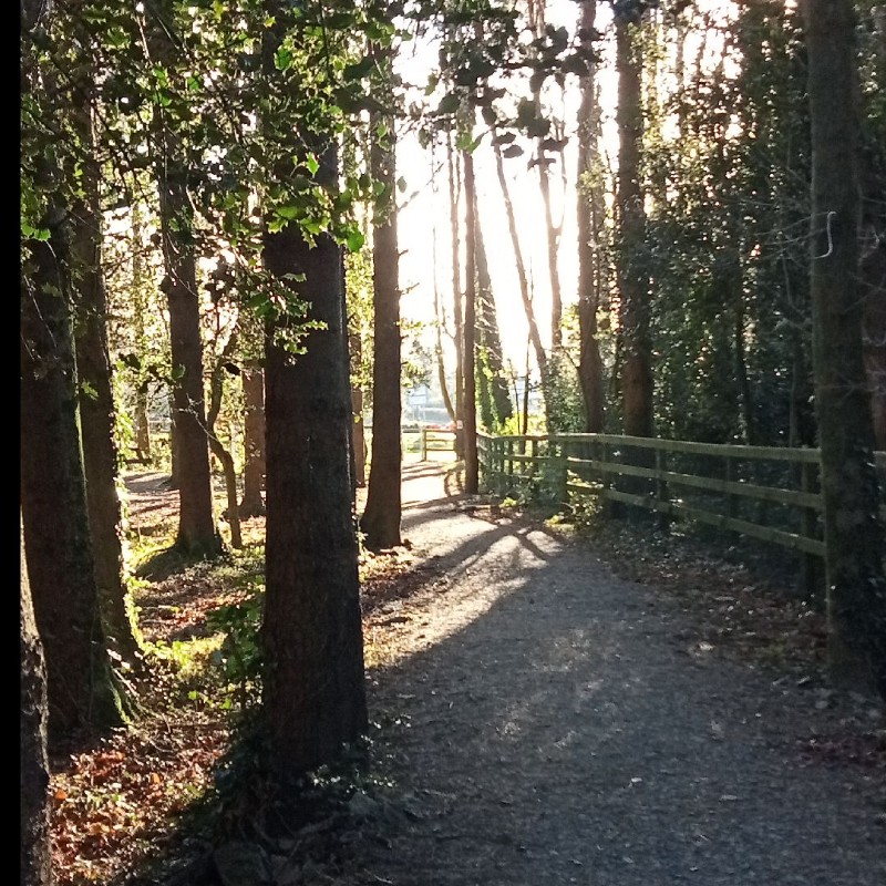 Mary. B💕 (mary_burke2005) Snapchat Stories, Spotlight & Lenses