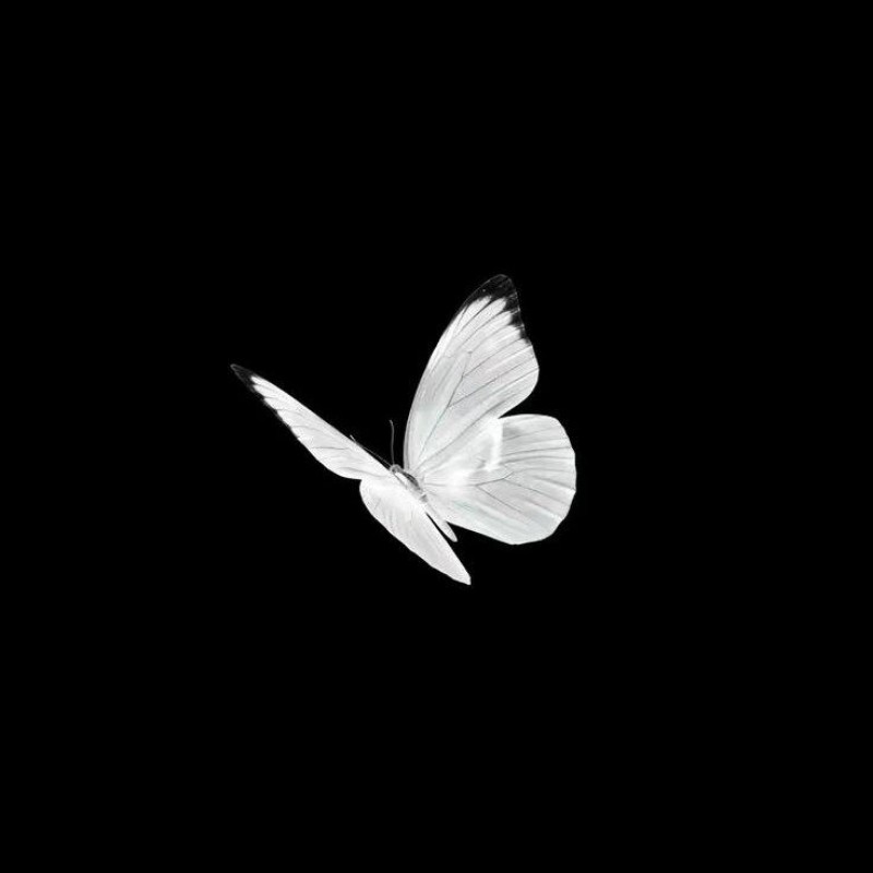 Mishu (@mishal152578) | Snapchat Stories, Spotlight & Lenses