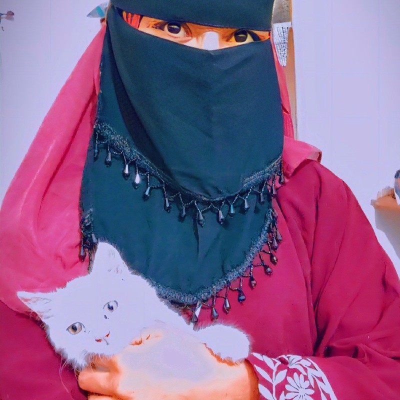 Api Kaynat Kaynat Sheikh (@musss3035) | Snapchat Stories, Spotlight & Lenses