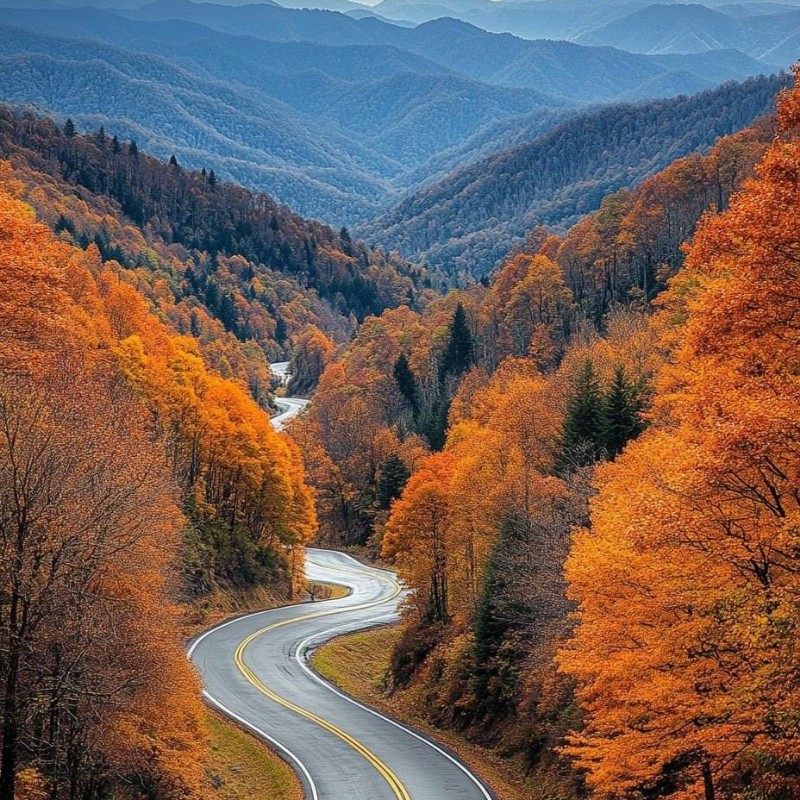 Najo Ice 🥶(@najocade) | เรื่องราว Snapchat ตลอดจน Spotlight และเลนส์