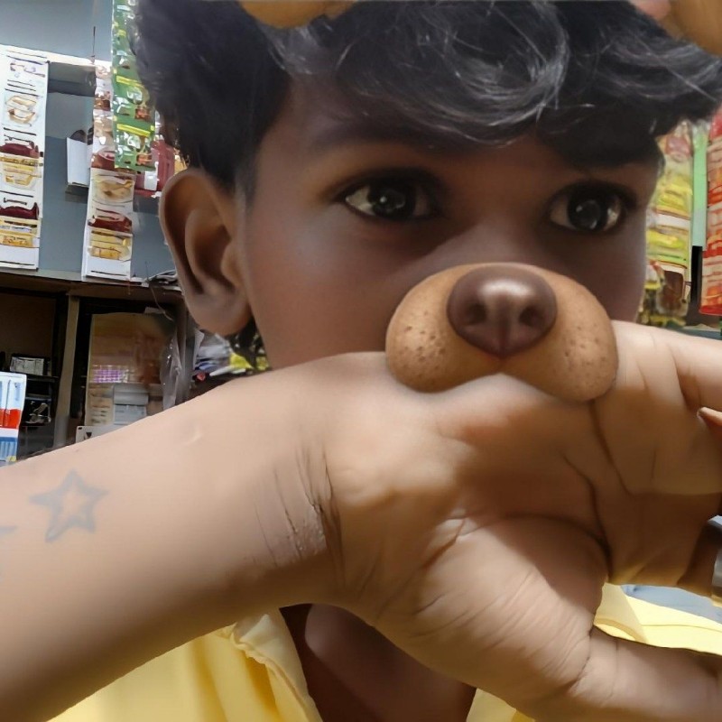Ñaveeñ 🐾~ (@naveen_k25237) | Snapchat Stories, Spotlight & Lenses