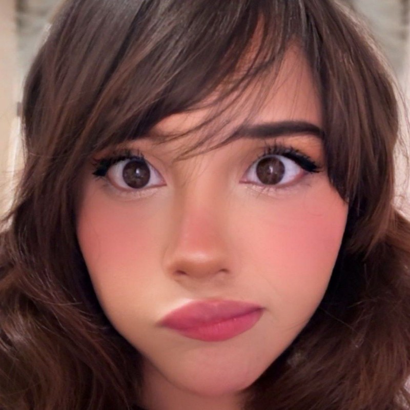 neekolul (neekolul) Snapchat Stories, Spotlight & Lenses