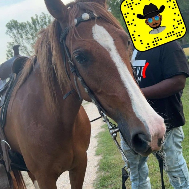 mr 🥶ice cold♿️🥶 (plug_check2) Snapchat Stories, Spotlight & Lenses