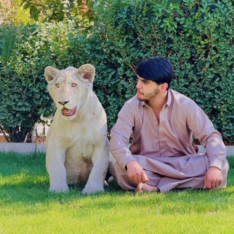 Haje Rashed Haji Rashidhakimi (@rashid4786) | Snapchat Stories, Spotlight & Lenses