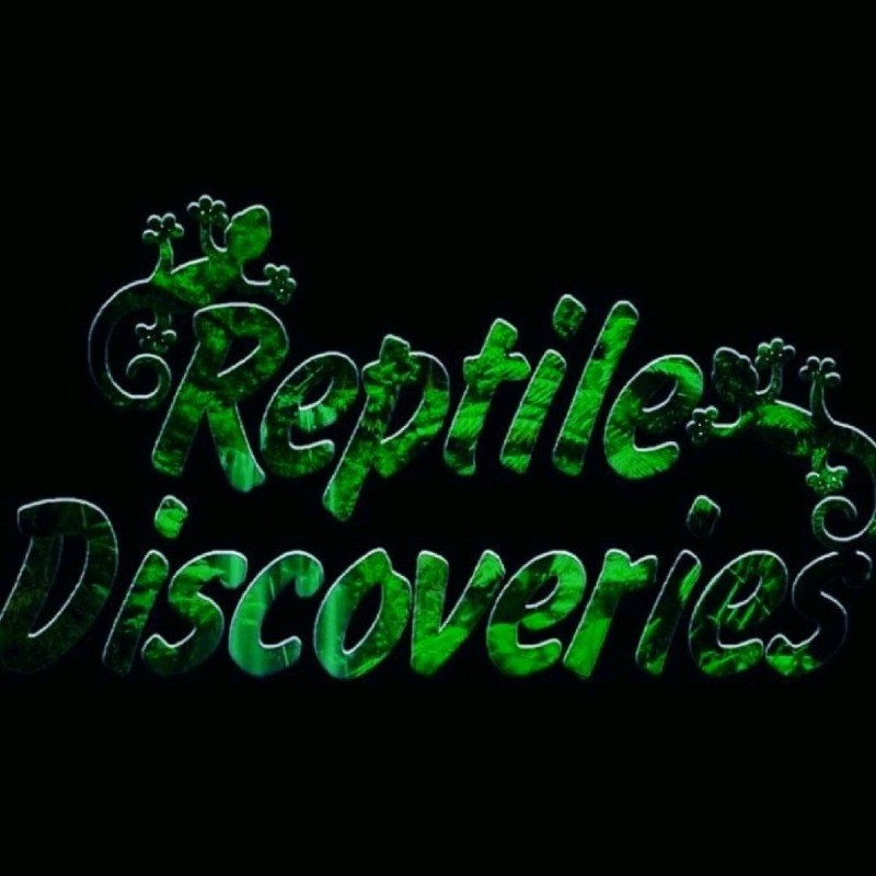 Reptile Discoveries (reptilediscover) Snapchat Stories, Spotlight