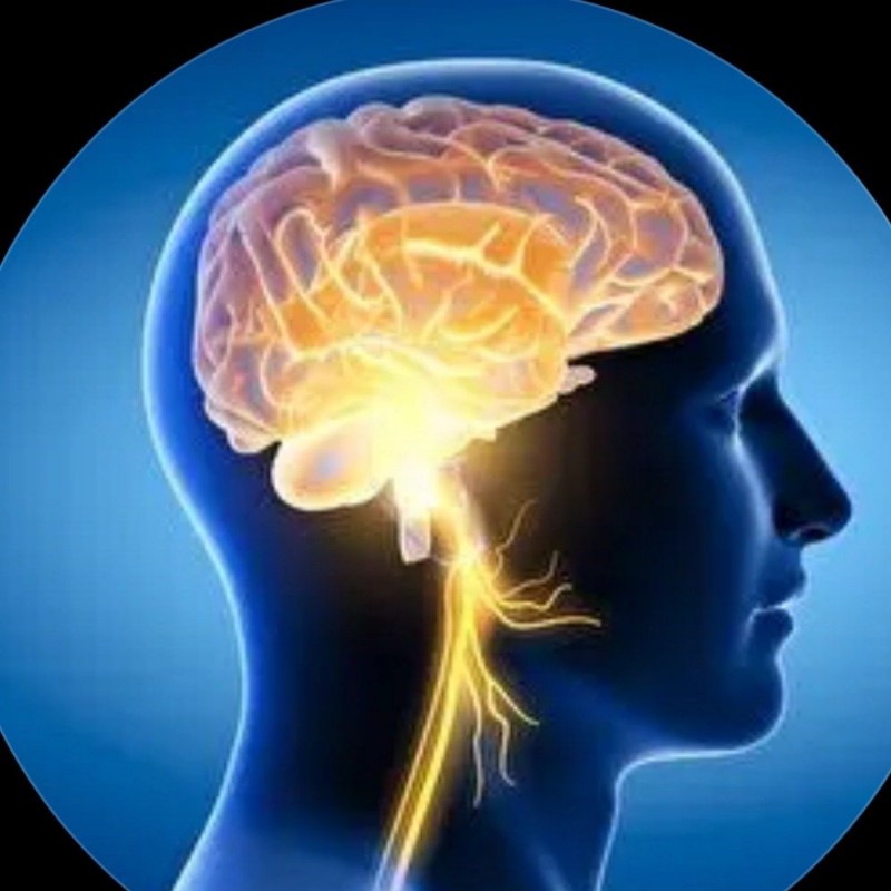 Riddle test (@riddle_test) | Snapchat Stories, Spotlight & Lenses