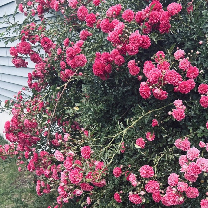 Rylee 🍃😵‍💫 (ryleef_xoxo) Snapchat Stories, Spotlight & Lenses