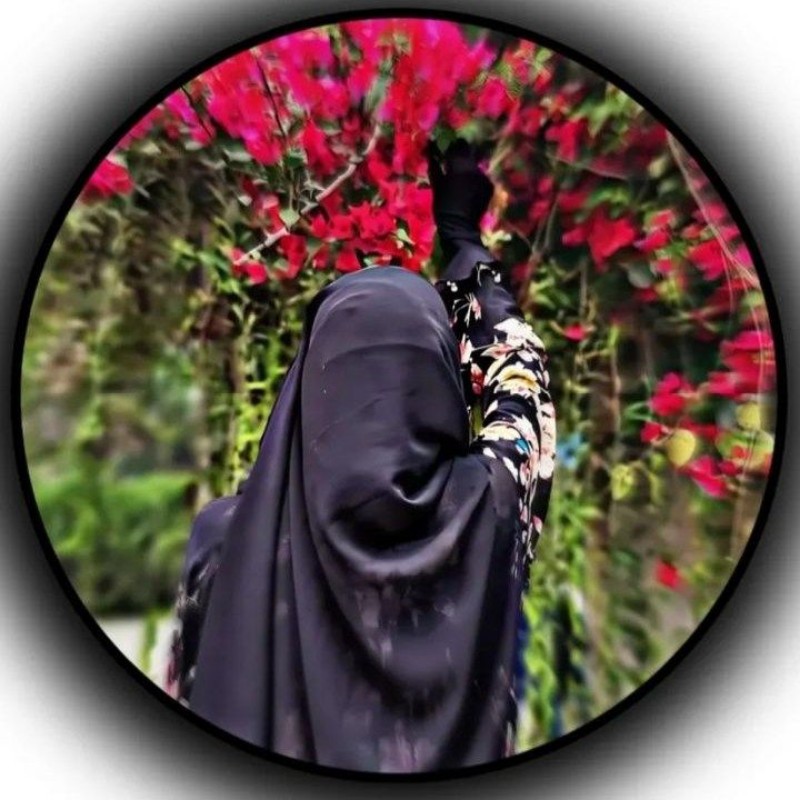 Samrin Api Saba Samrin 💞 (@sabasamrin25) | Snapchat Stories, Spotlight & Lenses