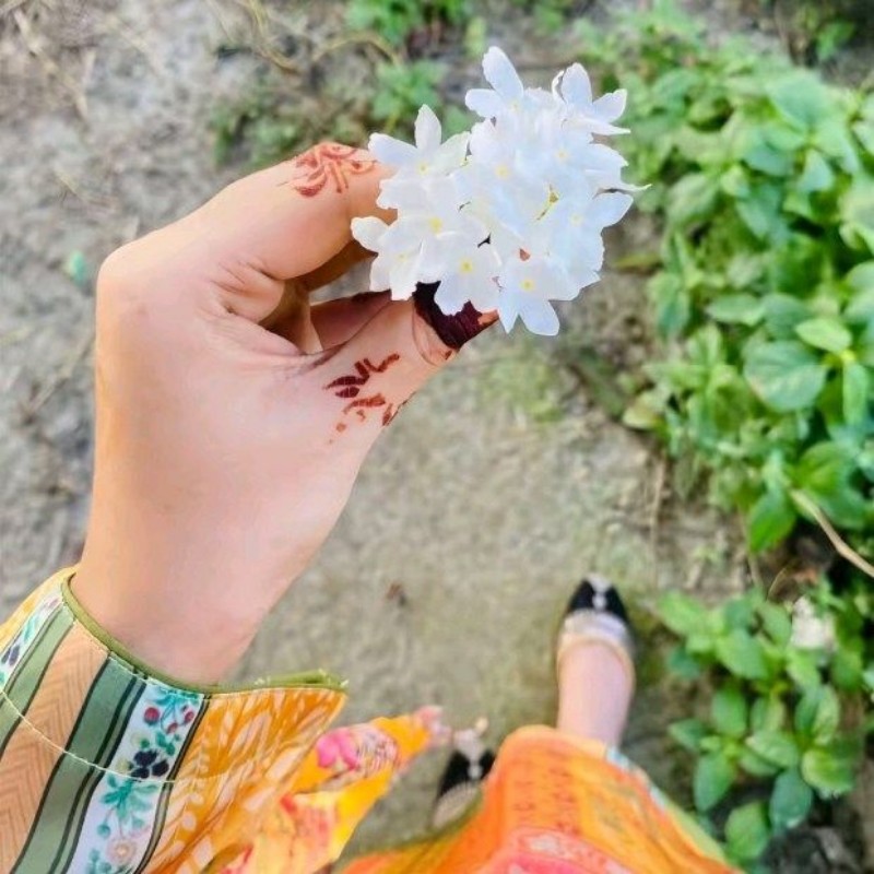 Api Sadia Sadia (@sadia727529) | Snapchat Stories, Spotlight & Lenses