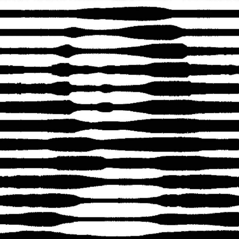 SaRy( sary.nz) เรื่องราว Snapchat ตลอดจน Spotlight และเลนส์