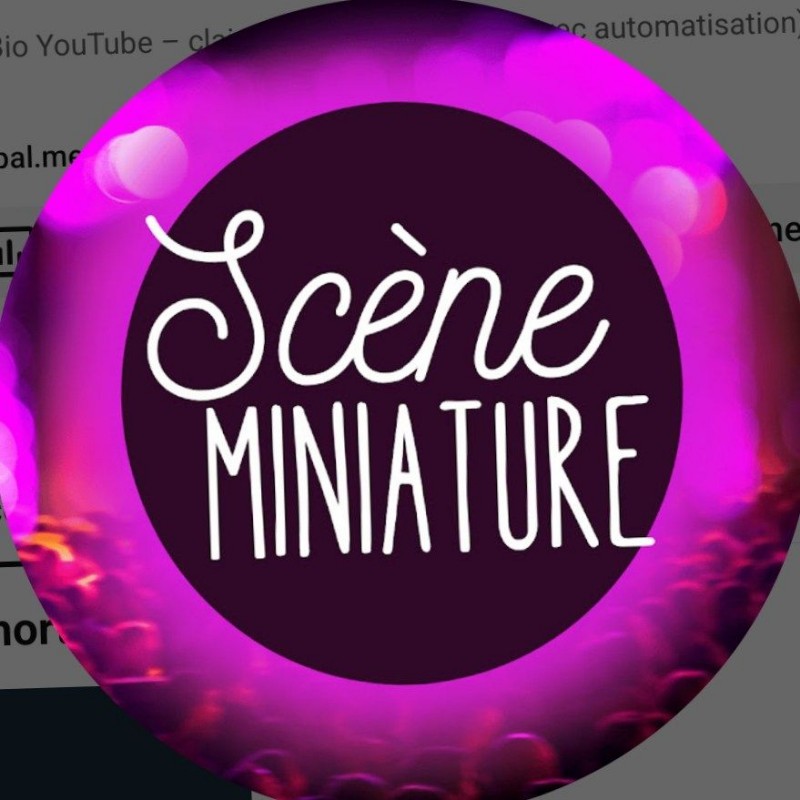 Scènes Miniature (@scenesminiature) | Snapchat Stories, Spotlight & Lenses