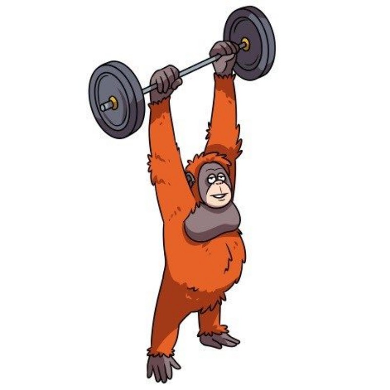 The Jungle Gym (thejunglegym_co) Snapchat Stories, Spotlight & Lenses