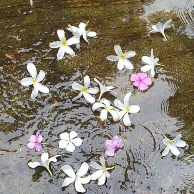 ZeEnU🌏QUeEn💫 (@zeenu_q2025) | Snapchat Stories, Spotlight & Lenses